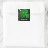 Vier Leaf Clover Lucky Vierkante Sticker (Tas)
