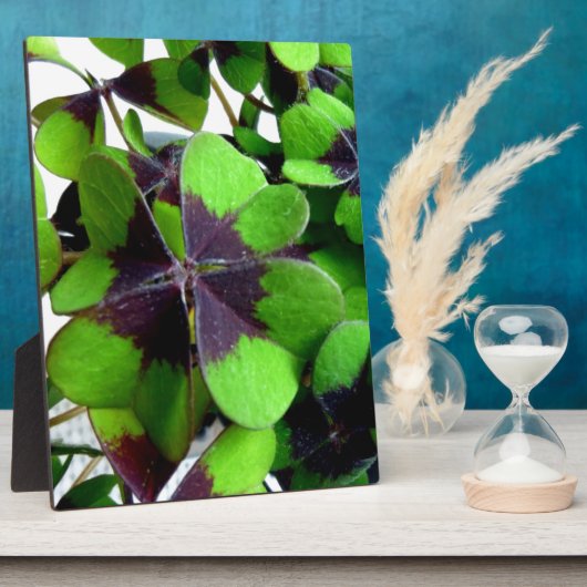 Vier Leaf Clover Shamrock St. Patrick's Lucky Fotoplaat (Zijkant)