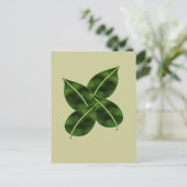 Vier lederen kaart (Staand voorkant)