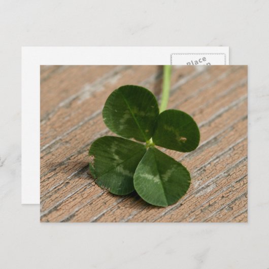 Vier lef-klaver briefkaart (Voorkant / Achterkant)