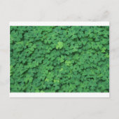 Vier lef-klaver briefkaart (Voorkant)