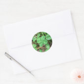 Vier lef-klaver ronde sticker (Envelop)