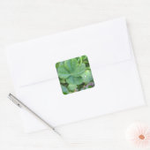 Vier lef-klaver vierkante sticker (Envelop)