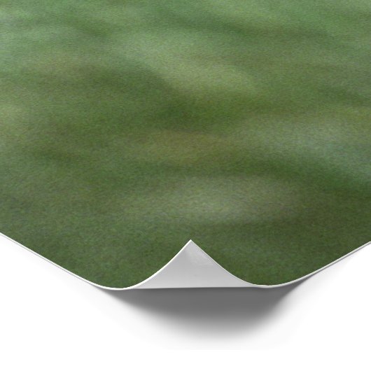 Vier leuke gouden puppies poster (Hoek)