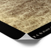 Vier luiers eten in Hot Springs SD 1891 Poster (Hoek)