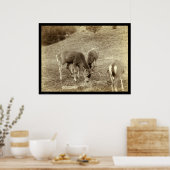 Vier luiers eten in Hot Springs SD 1891 Poster (Keuken)