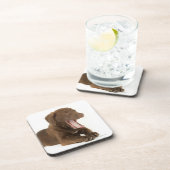 Vier maanden oud Chocolate Lab Puppy Yawning Onderzetter (Rechterzijde)