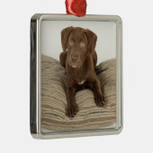 Vier maanden oude Chocolate Lab Puppy op Pillow Metalen Ornament (Rechts)