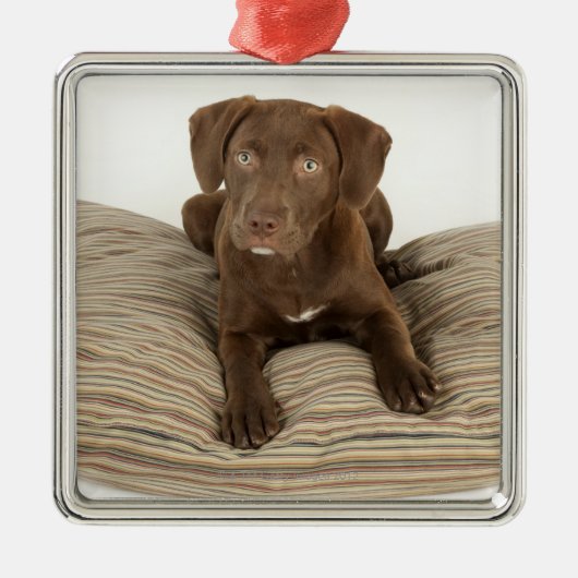 Vier maanden oude Chocolate Lab Puppy op Pillow Metalen Ornament (Voorkant)