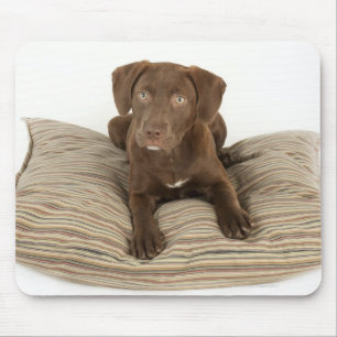 Vier maanden oude Chocolate Lab Puppy op Pillow Muismat