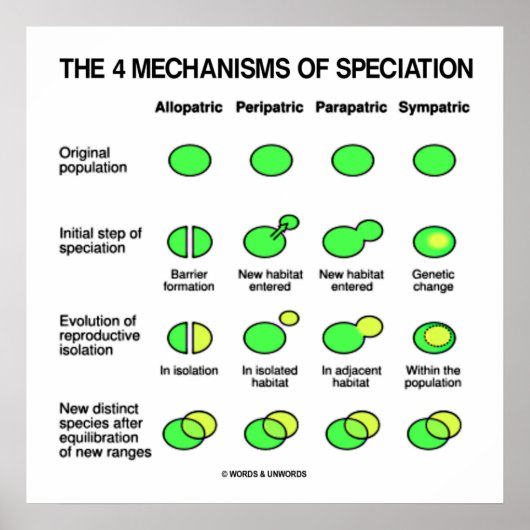 Vier mechanismen van de evolutie van de specificat poster (Voorkant)