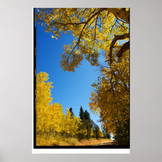 Vier Mile Road, Cripple Creek, Colorado Poster