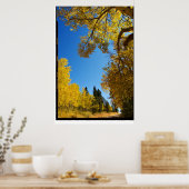 Vier Mile Road, Cripple Creek, Colorado Poster (Keuken)