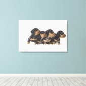 Vier Mini Dachshund Canvas Afdruk (Insitu (Houten vloer))