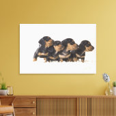 Vier Mini Dachshund Canvas Afdruk (Insitu (Woonkamer))