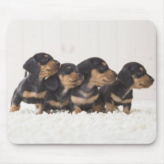 Vier Mini Dachshund Muismat (Voorkant)