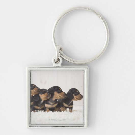 Vier Mini Dachshund Sleutelhanger (Voorkant)