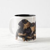 Vier Mini Dachshund Tweekleurige Koffiemok (Voorkant links)