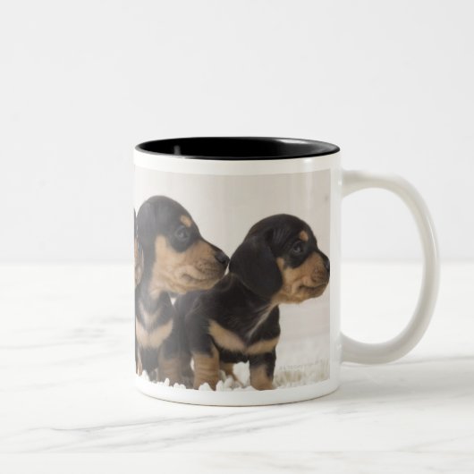 Vier Mini Dachshund Tweekleurige Koffiemok (Rechts)