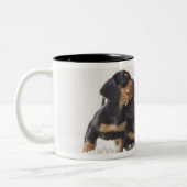 Vier Mini Dachshund Tweekleurige Koffiemok (Links)