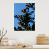 Vier Monarch Butterflies Print (Keuken)