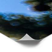 Vier Monarch Butterflies Print (Hoek)