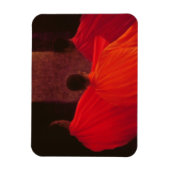 Vier monniken magneet (Verticaal)