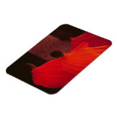 Vier monniken magneet (Linkerzijde)