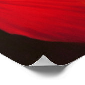 Vier monniken poster (Hoek)