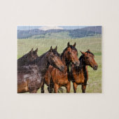 Vier mooie paarden legpuzzel (Horizontaal)