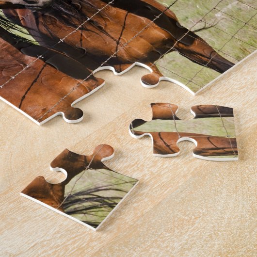 Vier mooie paarden legpuzzel (Zijkant)