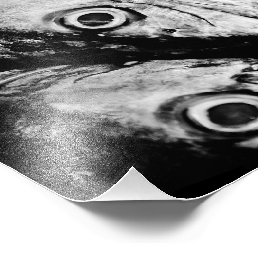 vier ogen foto afdruk (Hoek)