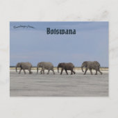 Vier olifanten in het Briefkaart van Botswana (Voorkant)