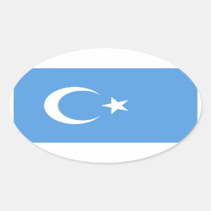 VIER Oost-Turkestan Oeigoerse vlag Ovale Sticker