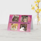 Vier op de vijf katten geven niet om Valentijns Kaart (Gele Bloem)