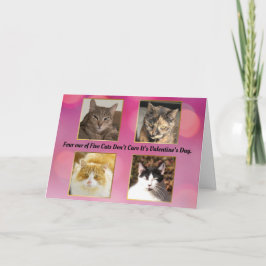 Vier op de vijf katten geven niet om Valentijns Kaart