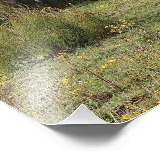 Vier paarden foto afdruk (Hoek)