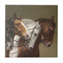 Vier paarden  kunststoftegel