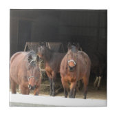 Vier paarden tegeltje (Voorkant)