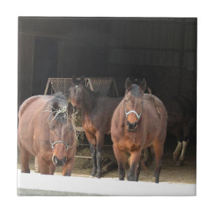 Vier paarden tegeltje