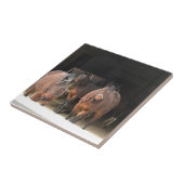 Vier paarden tegeltje (Zijkant)