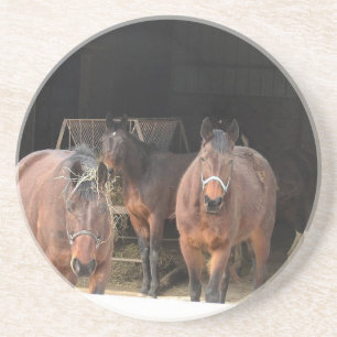 Vier paarden zandsteen onderzetter