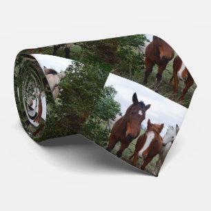 Vier paardenpels, stropdas