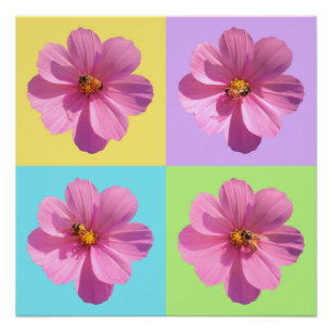 Vier-Panel Kosmos Bloemen met Honingbij Perfect Poster