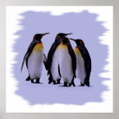 Vier pinguïns Poster 24x24 inch (Voorkant)