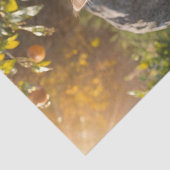 Vier pluizige herfst Kittens met pompoenen en mama Tissuepapier (Detail)