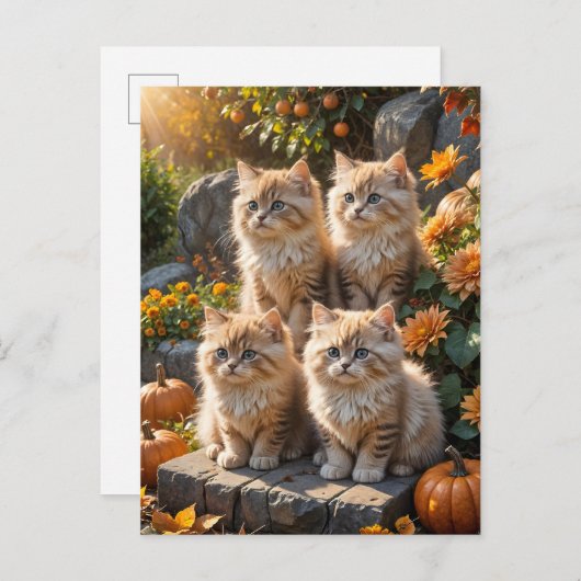 Vier pluizige herfst Kittens met pompoenen en mama Uitnodiging Briefkaart (Voorkant / Achterkant)