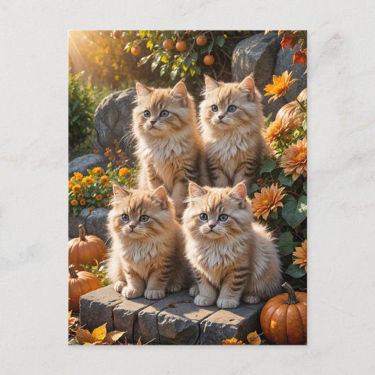 Vier pluizige herfst Kittens met pompoenen en mama Uitnodiging Briefkaart (Voorkant)