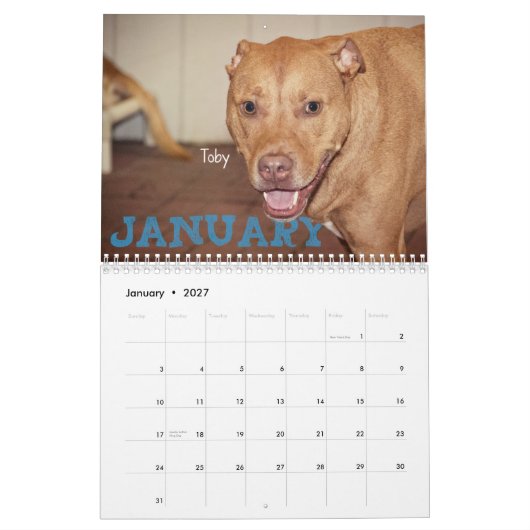 Vier poten kalender 2014 (Jan 2027)