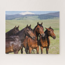 Vier prachtige paarden Jigzaag Puzzle